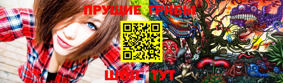 Галлюциногенные грибы прущие грибы Тольятти
