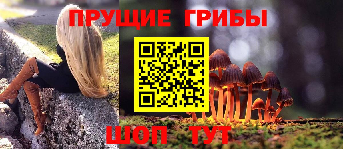 Тольятти  Галлюциногенные грибы прущие грибы  Вход с VPN 